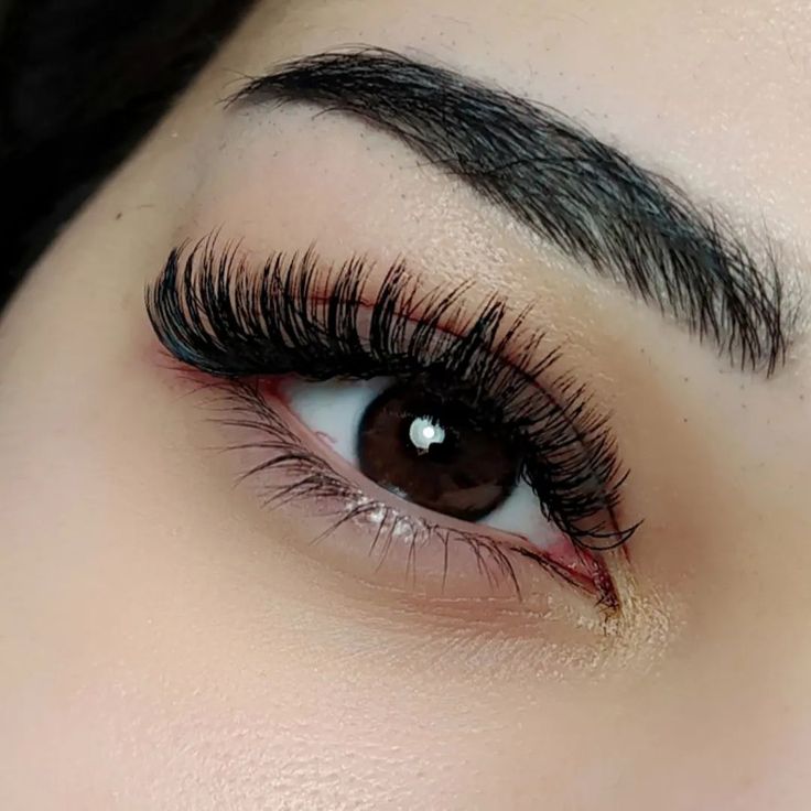 eyelash extensions нарощенные ресницы