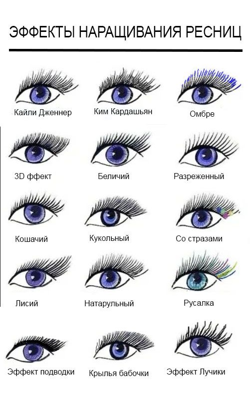 Nail-Study - Профессиональный курс ...