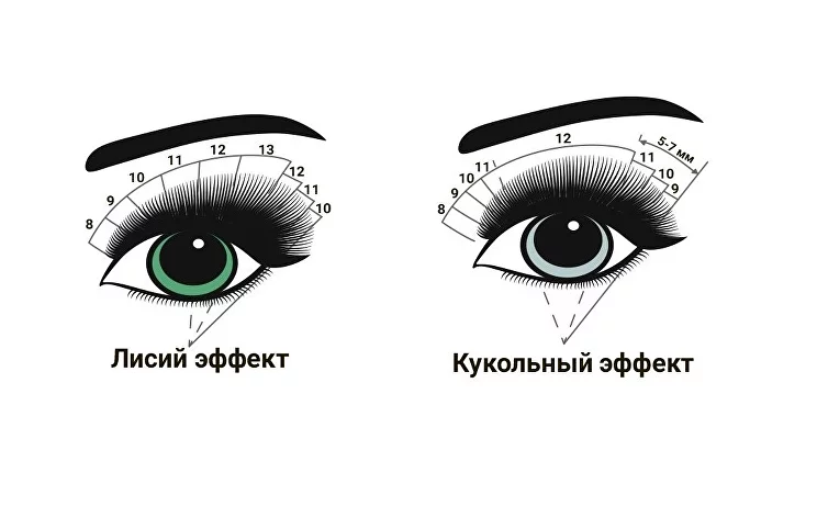 Изгиб Л лисий эффект - наращивание в технике 2Д и 3Д