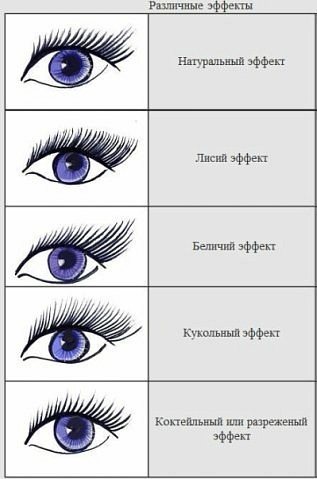 Кластеры ресниц, 72 шт. Pro lash beauty ...