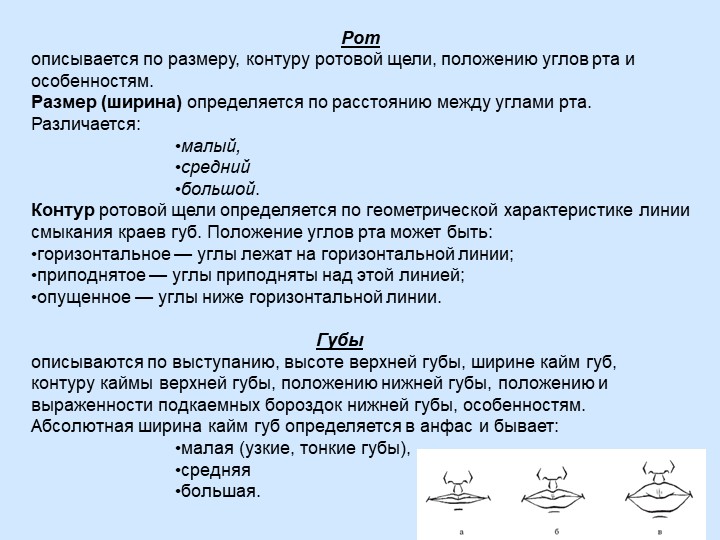 Перевал Дятлова: правду не скажут никогда !? - АЛЬТАИР — КОНТ